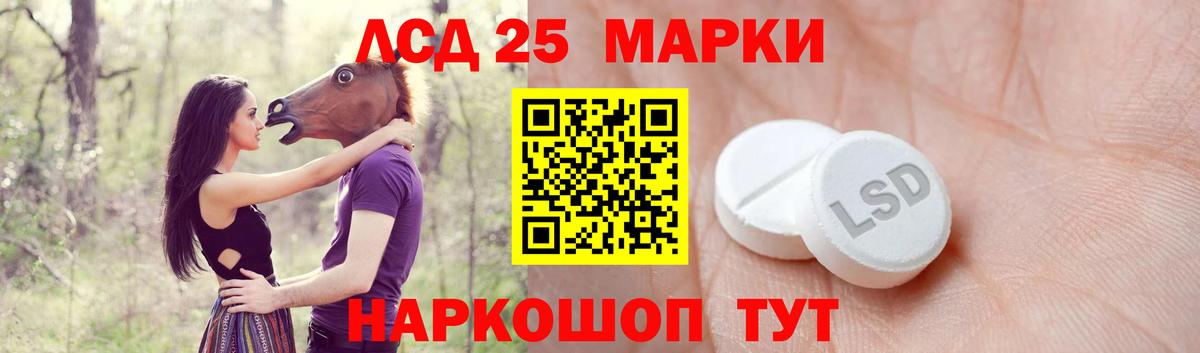LSD-25 экстази кислота Кингисепп