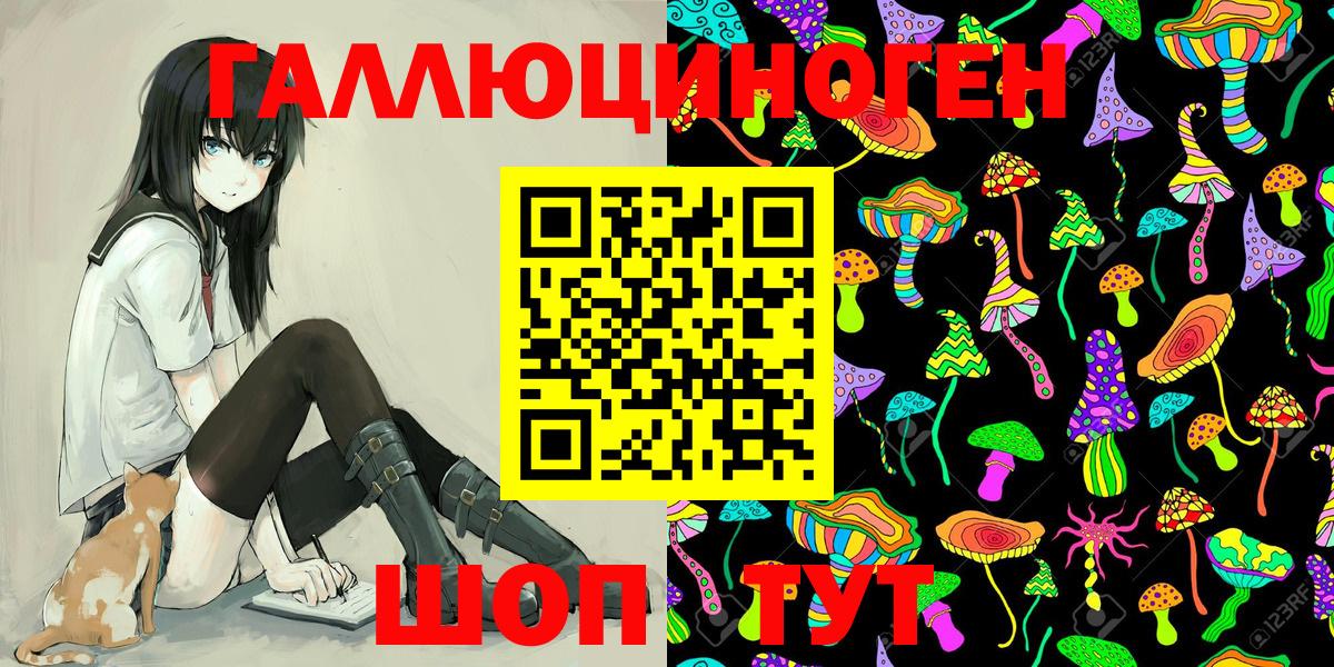 Кингисепп  Псилоцибиновые грибы Cubensis  Псилоцибиновые грибы Psilocybe  Вход с VPN 