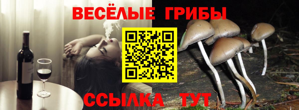 Галлюциногенные грибы MAGIC MUSHROOMS Кингисепп